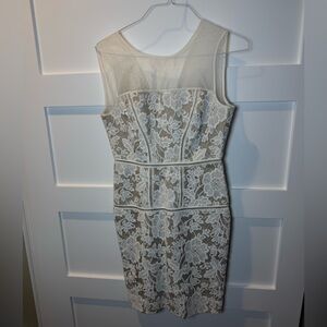 Trina Turk Dress Elegant Lace Overlay Dress in Cream with mesh neckline size 6